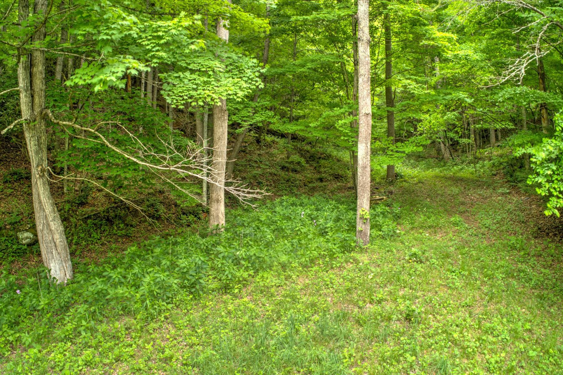 Copperhead Hollow Road Mountain City, TN 37683 - Photo 21 of 21 Copper hollow Rd22