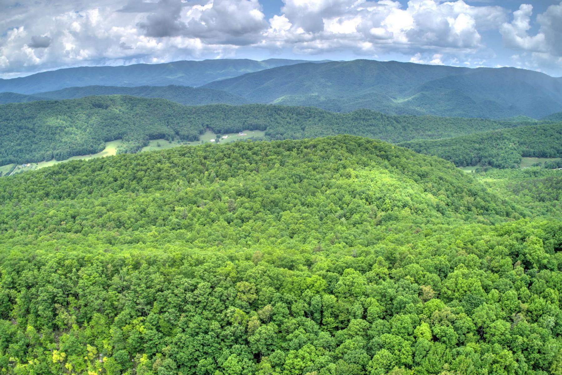 Copperhead Hollow Road Mountain City, TN 37683 - Photo 5 of 21 Copper hollow Rd8
