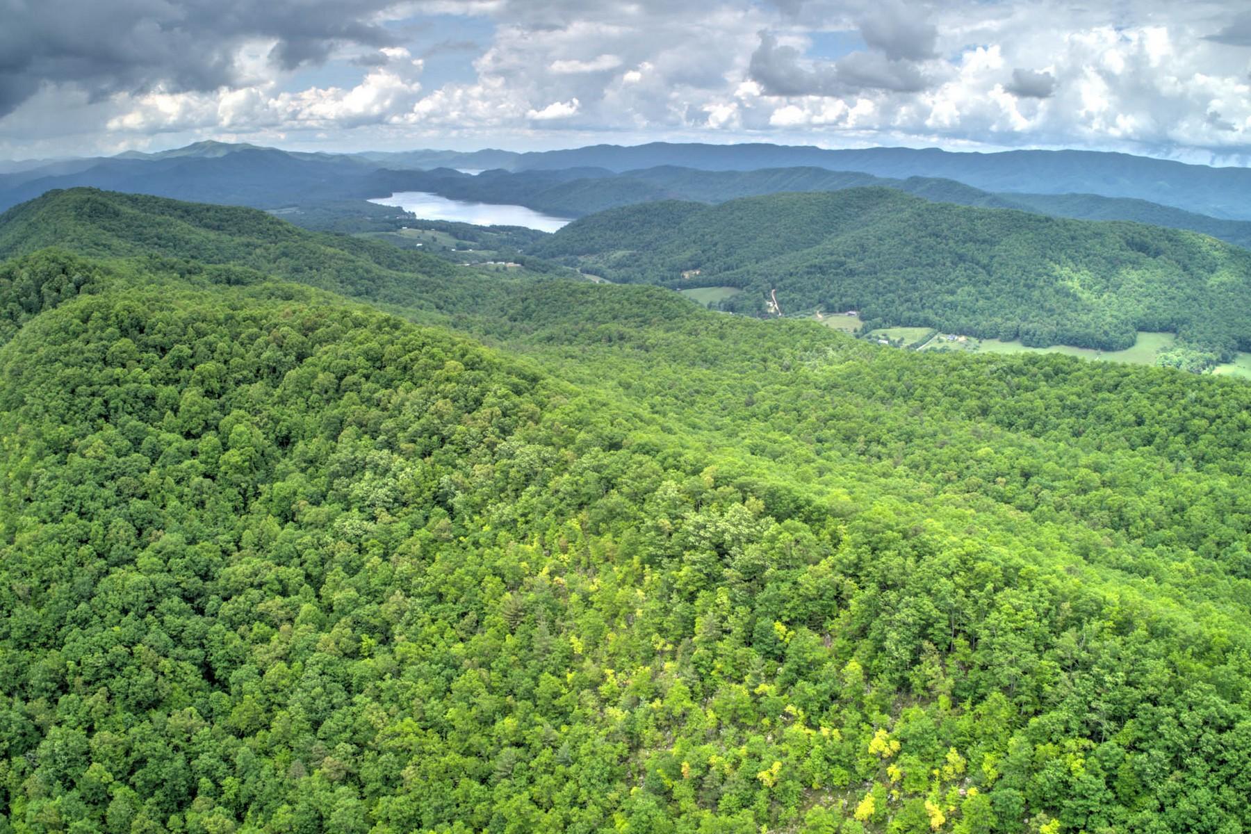Copperhead Hollow Road Mountain City, TN 37683 - Photo 6 of 21 Copper hollow Rd9