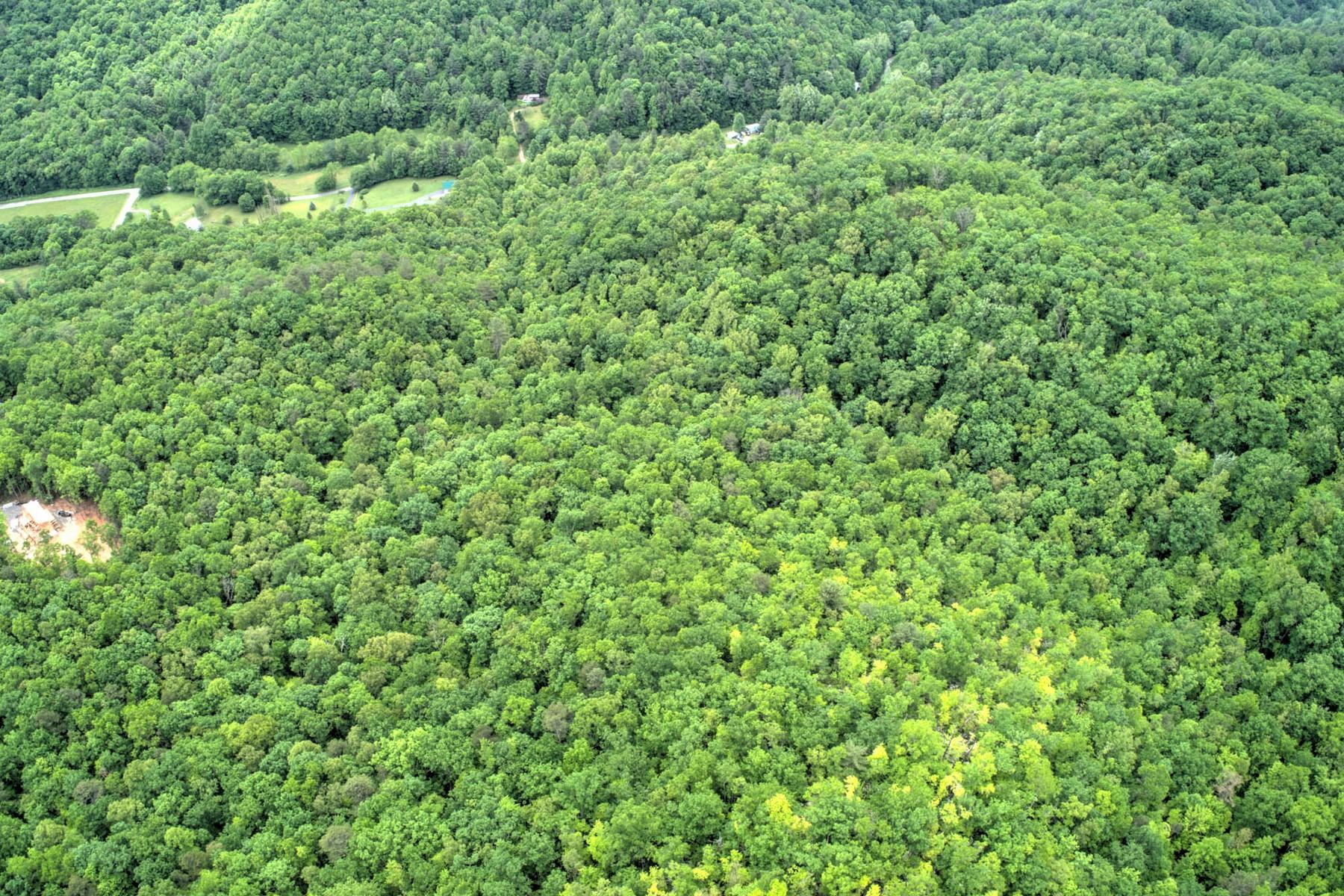 Copperhead Hollow Road Mountain City, TN 37683 - Photo 10 of 21 Copper hollow Rd13