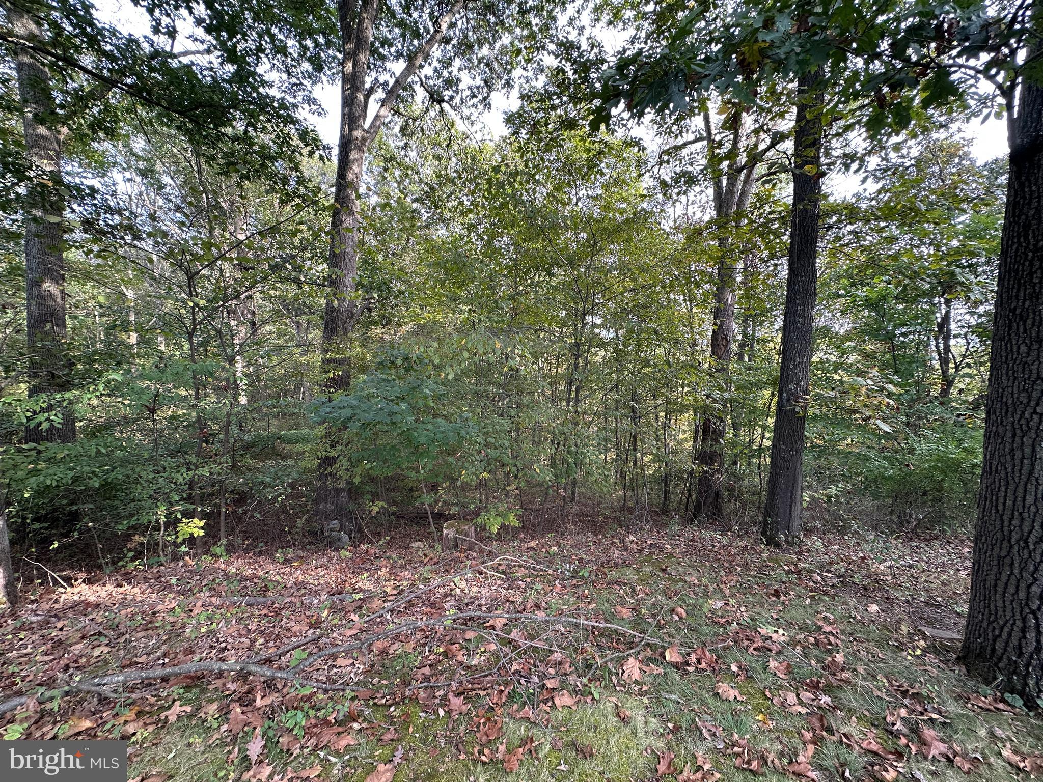 2936 Path Valley Road Fort Loudon, PA 17224 - Photo 23 of 74 Gallery Image 23