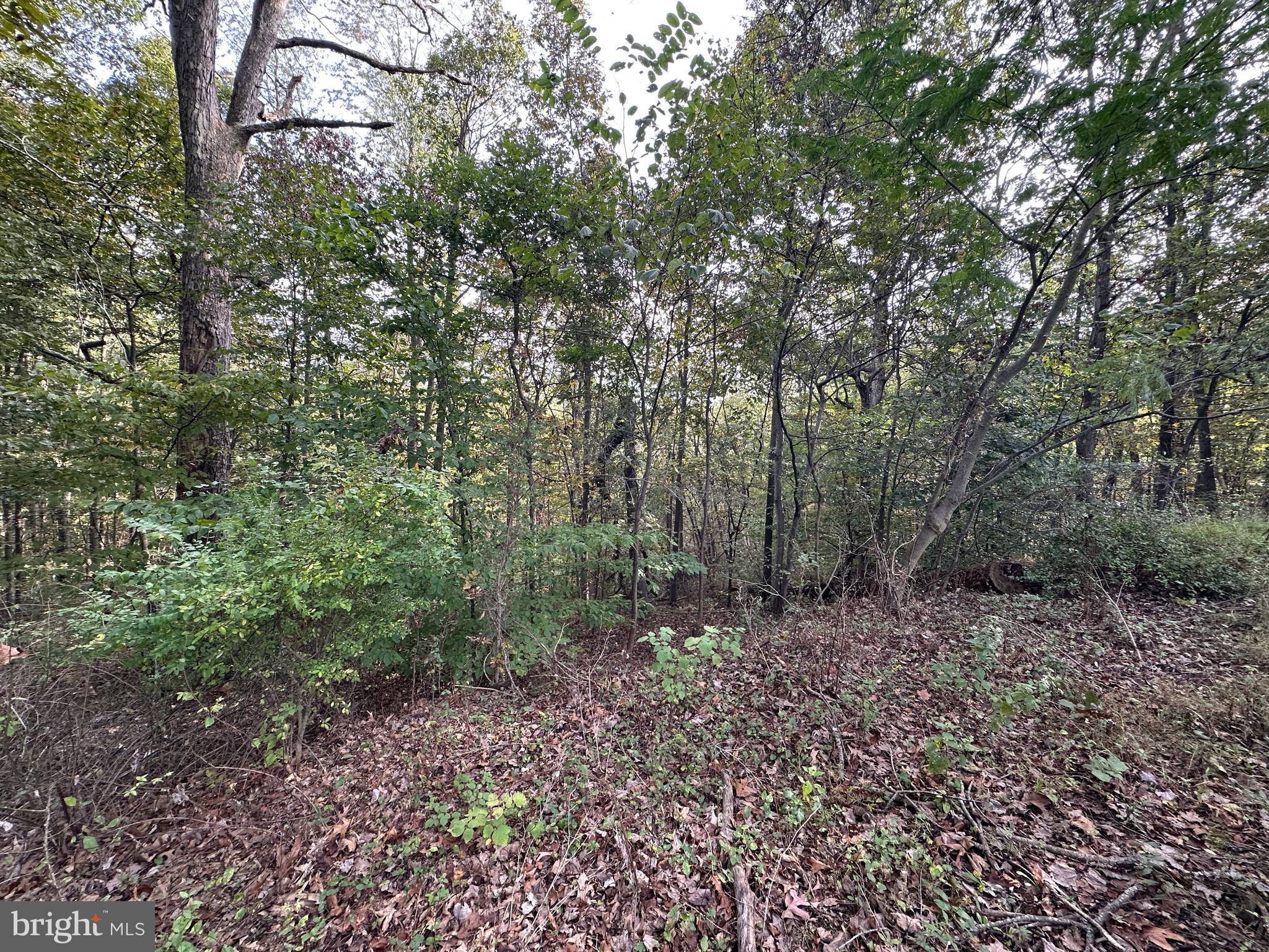 2936 Path Valley Road Fort Loudon, PA 17224 - Photo 25 of 74 Gallery Image 25