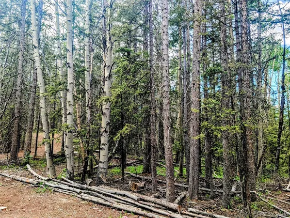 a view of a yard