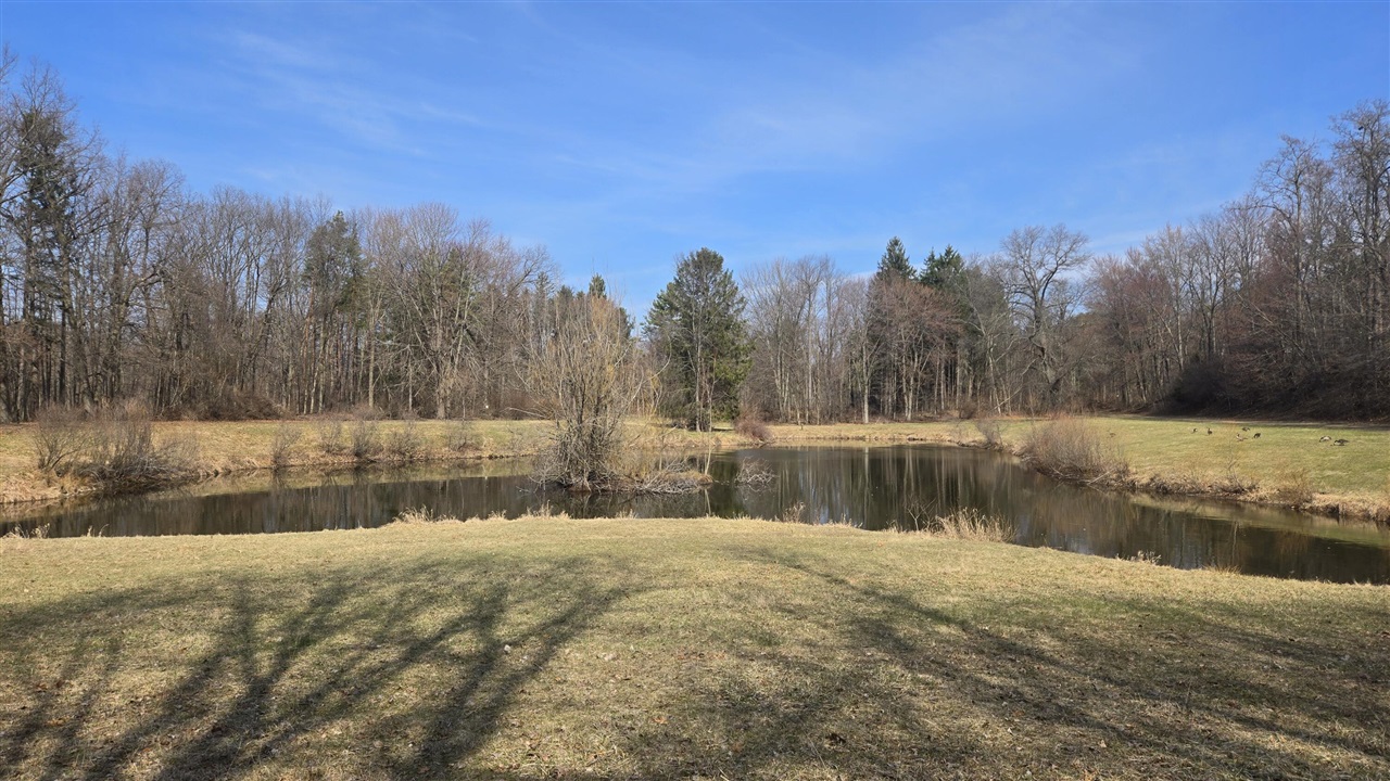 7091 Ann Arbor Road Jackson, MI 49201 - Photo 58 of 61