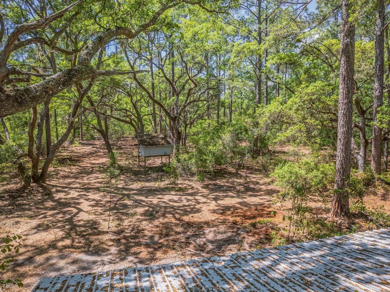 123 Carter Road Crawfordville, FL 32327 - Photo 33 of 39
