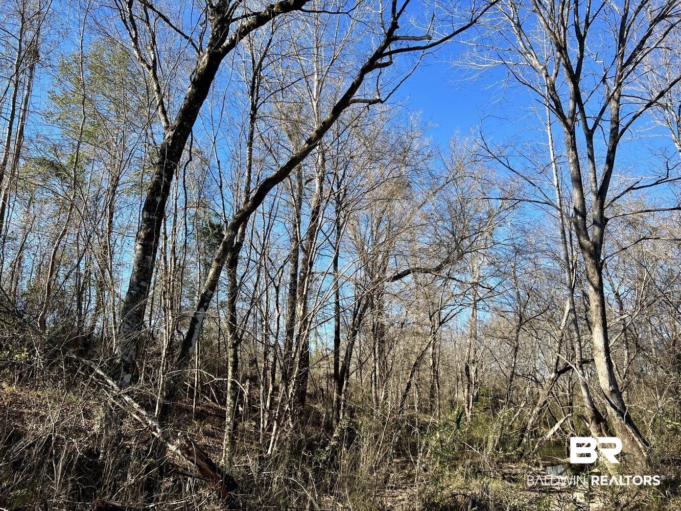 0 Highway 84 Evergreen, AL 36401 - Photo 20 of 50