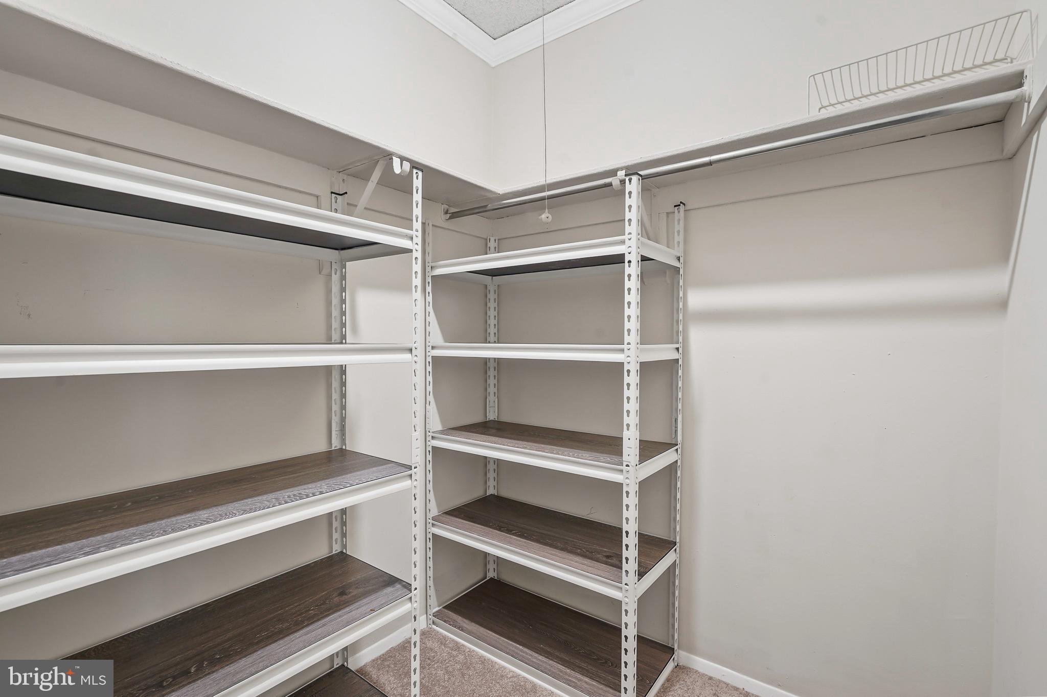 1225 Martha Custis Drive, Unit 1119 Alexandria, VA 22302 - Photo 11 of 36 a view of an empty walk in closet