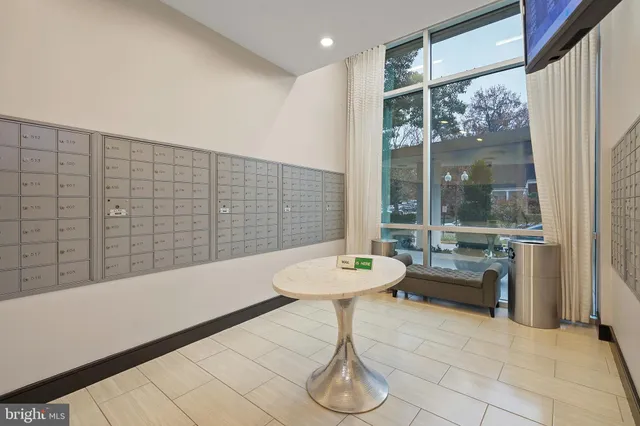 a view of a park with large trees