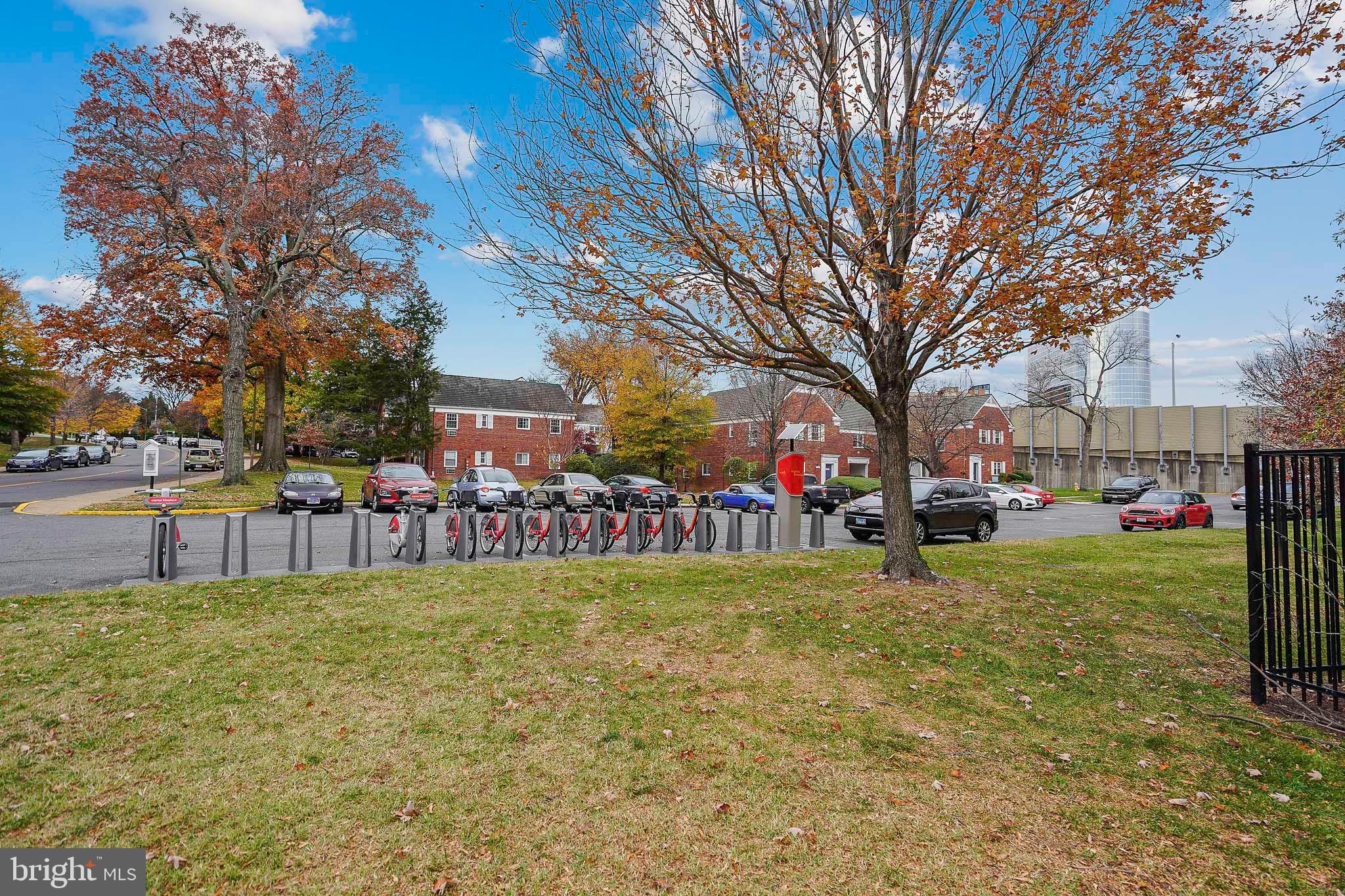 1225 Martha Custis Drive, Unit 1119 Alexandria, VA 22302 - Photo 36 of 36 a view of a park with large trees