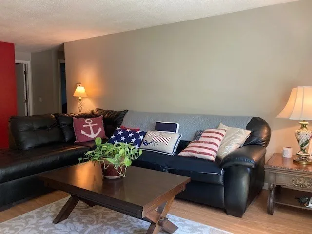 a living room with furniture and a potted plant