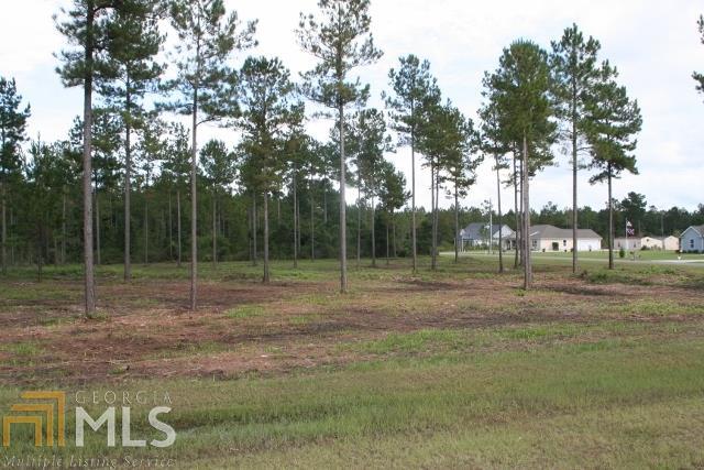 0 Clarks Bluff Road, Unit 48 Kingsland, GA 31548 - Photo 1 of 1 a view of outdoor space with trees all around