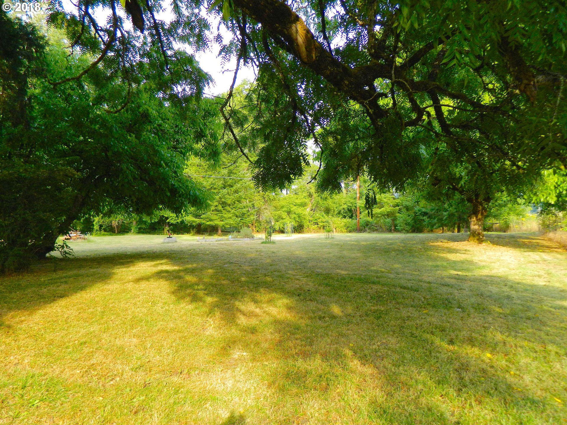 38323 Wheeler Road Dexter, OR 97431 - Photo 14 of 32 a view of yard with swimming pool and trees