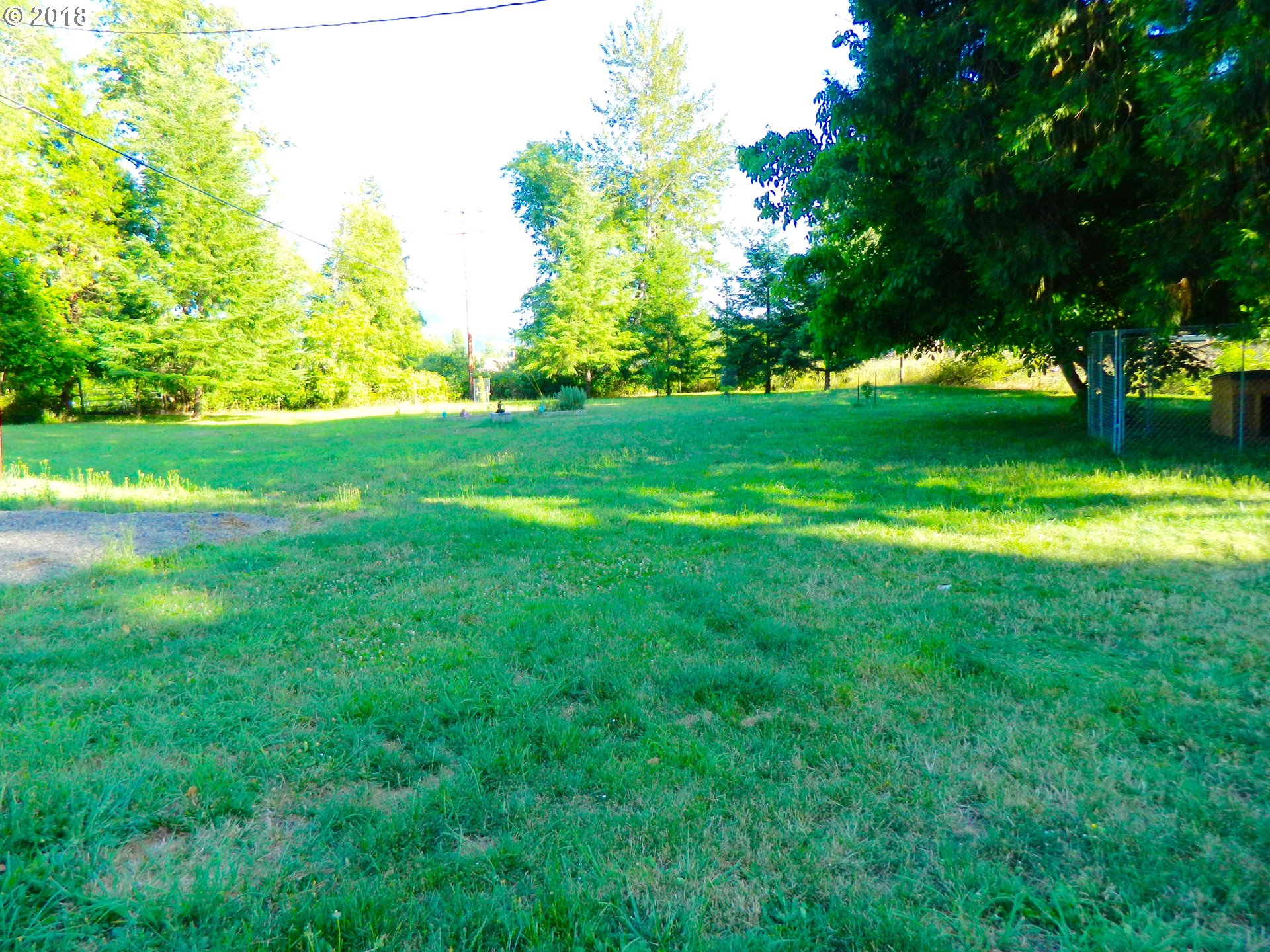 38323 Wheeler Road Dexter, OR 97431 - Photo 4 of 32 a view of yard with grass and trees
