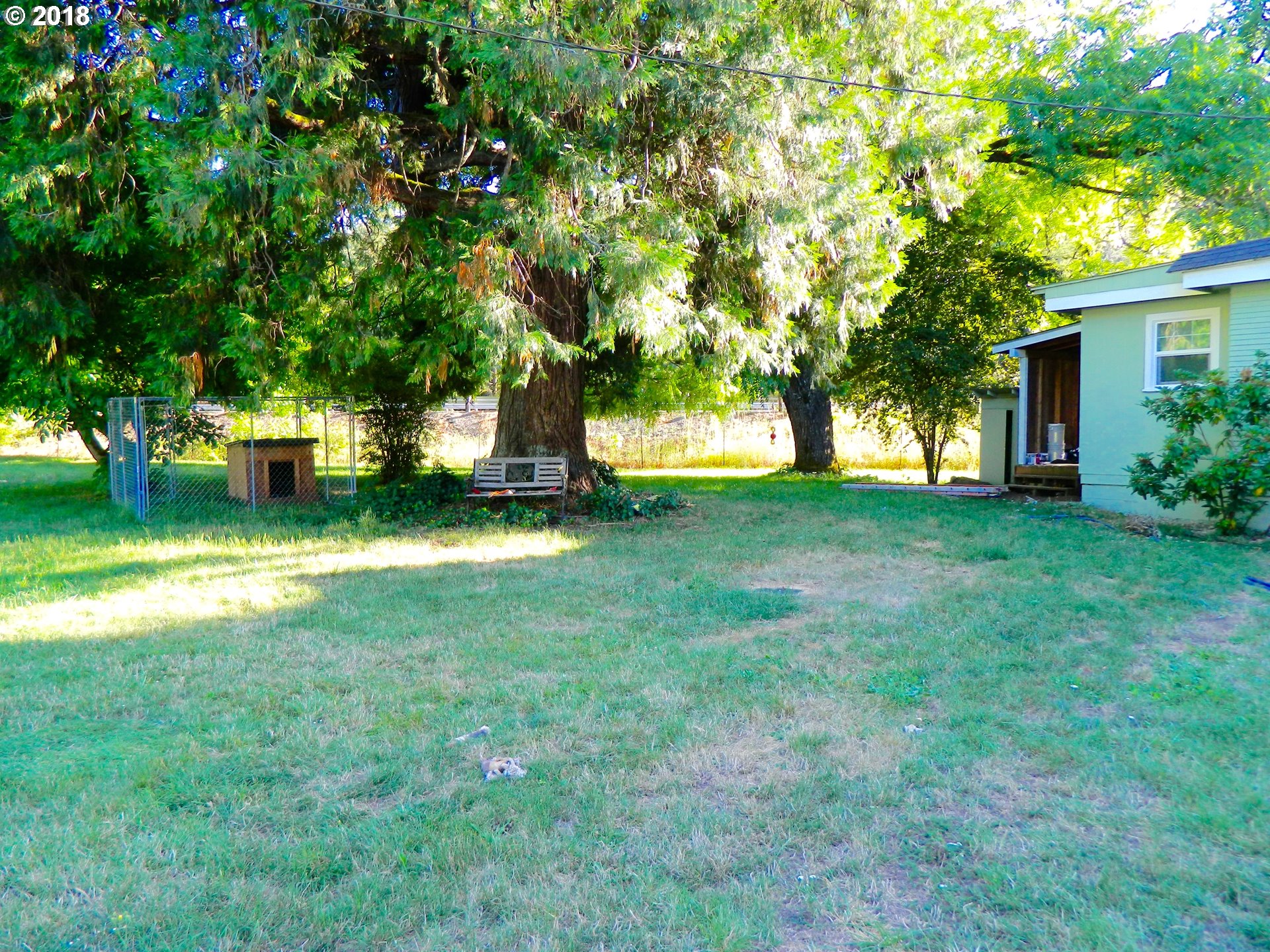 38323 Wheeler Road Dexter, OR 97431 - Photo 5 of 32 a view of a tree in front of a house