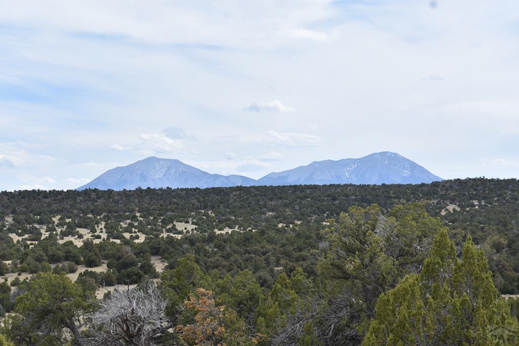 87-119 Twin Lakes Road Walsenburg, CO 81089 - Photo 1 of 21