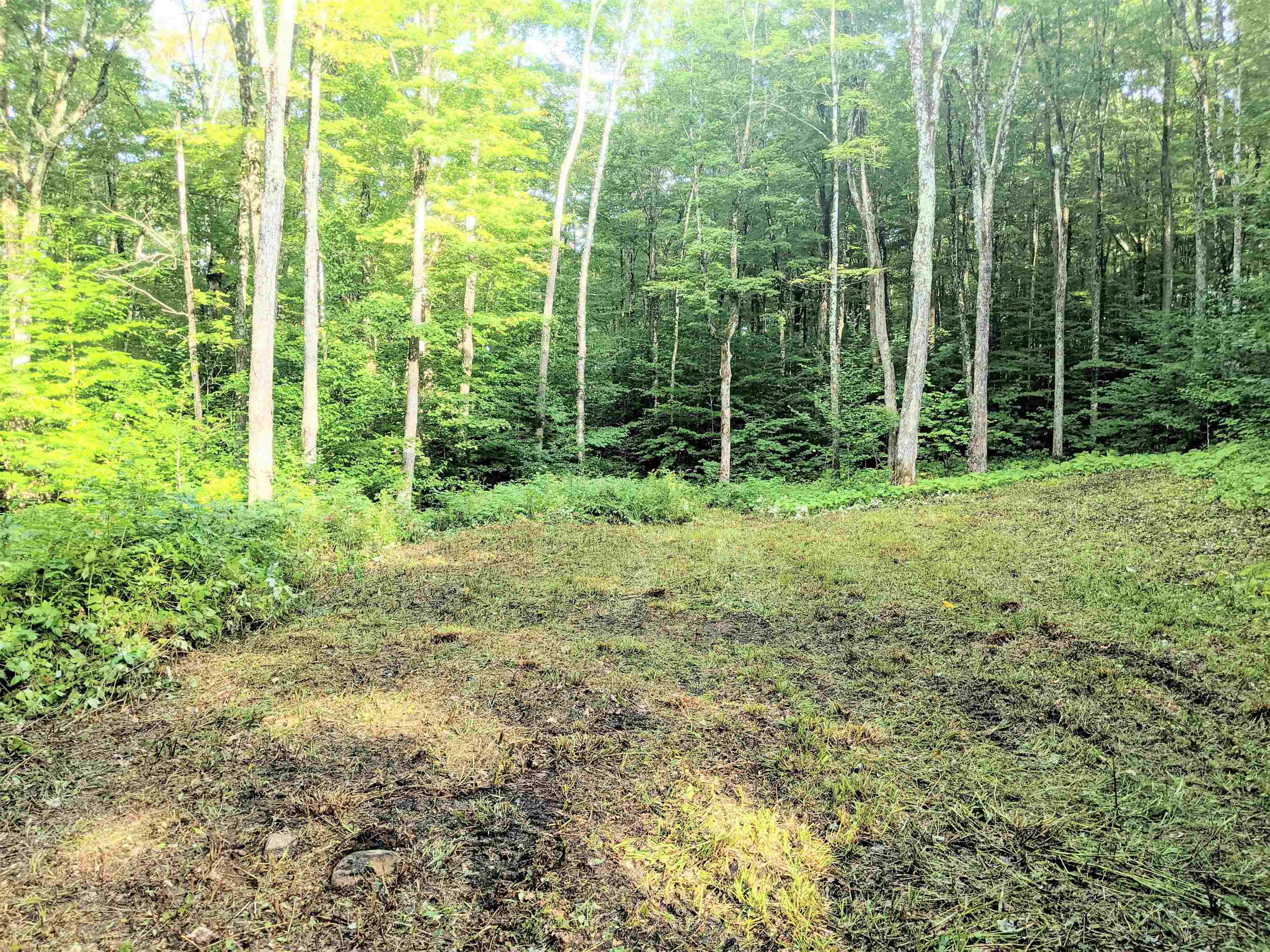 0 Leroux Road Lyndonville, VT 05851 - Photo 8 of 11 Gallery Image 8