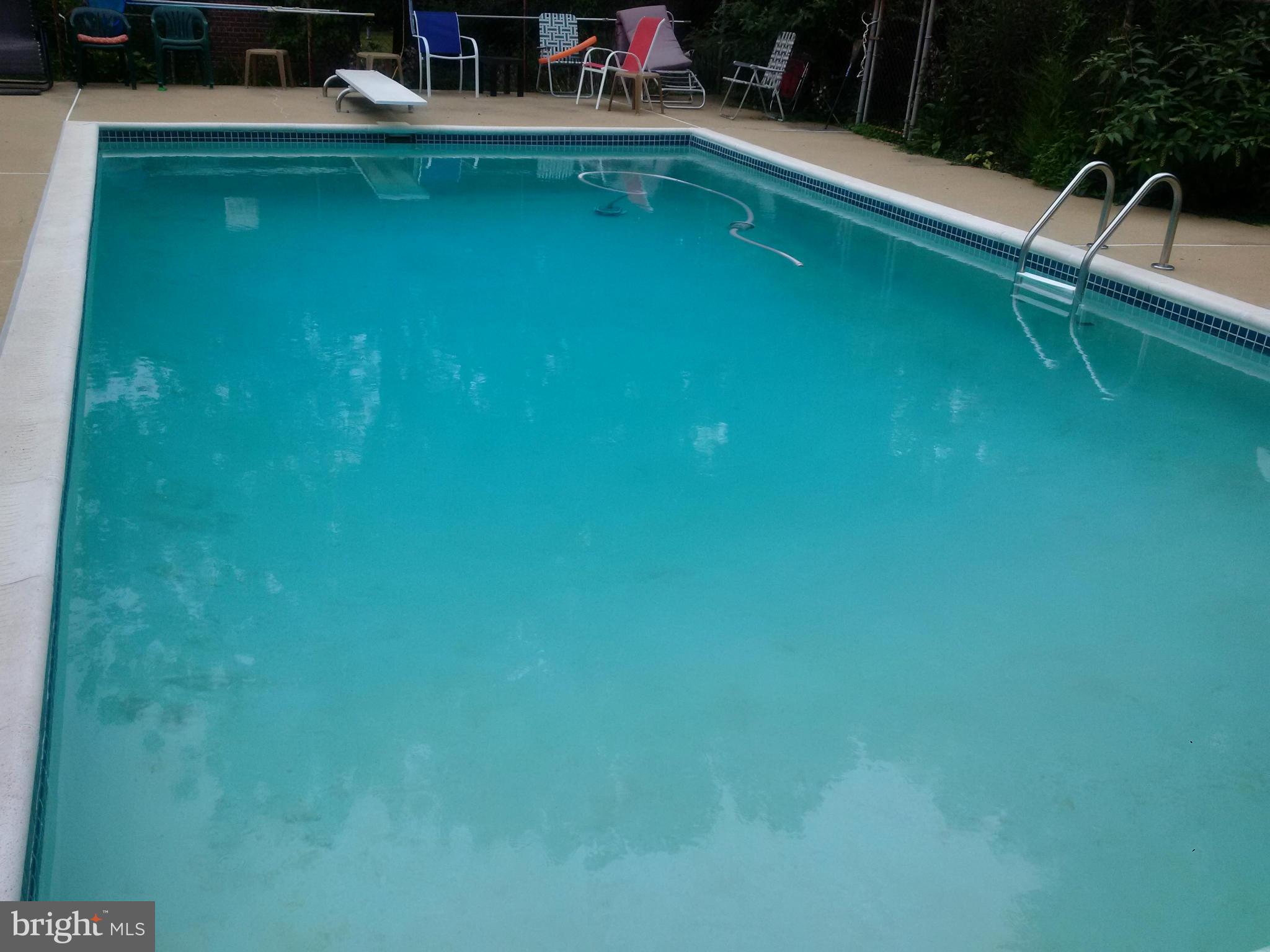 3900 Laurel Road Alexandria, VA 22309 - Photo 9 of 30 Pool
