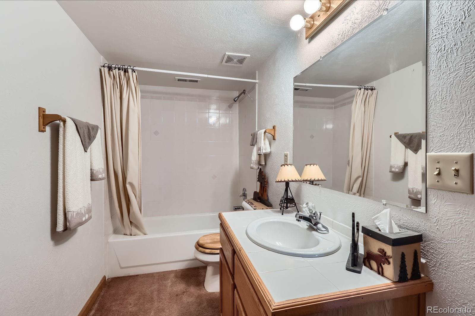 42 Catamount Ridge Road Bailey, CO 80421 - Photo 12 of 18