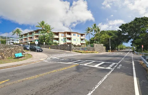 a view of a park with palm trees