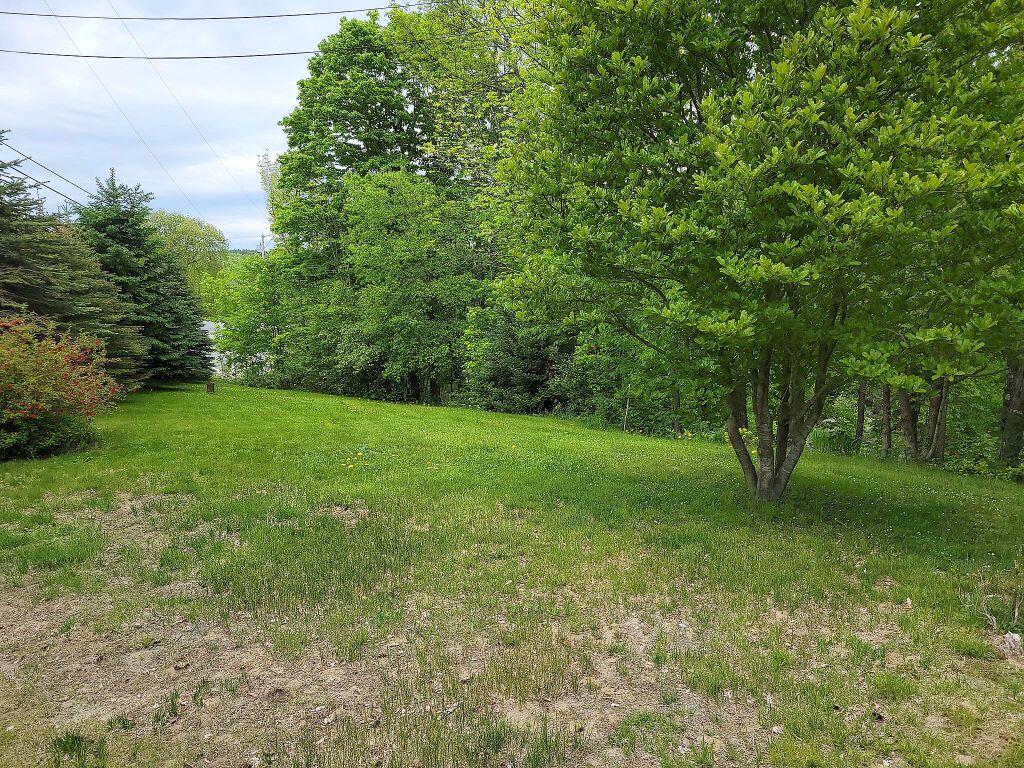 699 Shaw Hill Road Industry, ME 04938 - Photo 6 of 25 282205453_1384101895427597_8267330197114