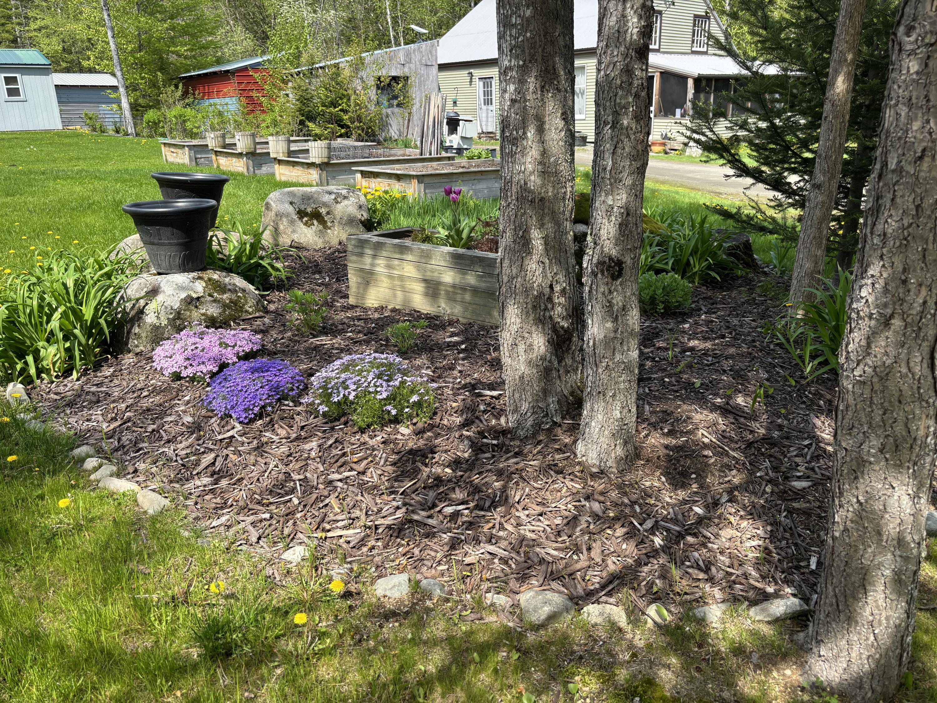 188 Springer Road St. Albans, ME 04971 - Photo 7 of 33 IMG_1724