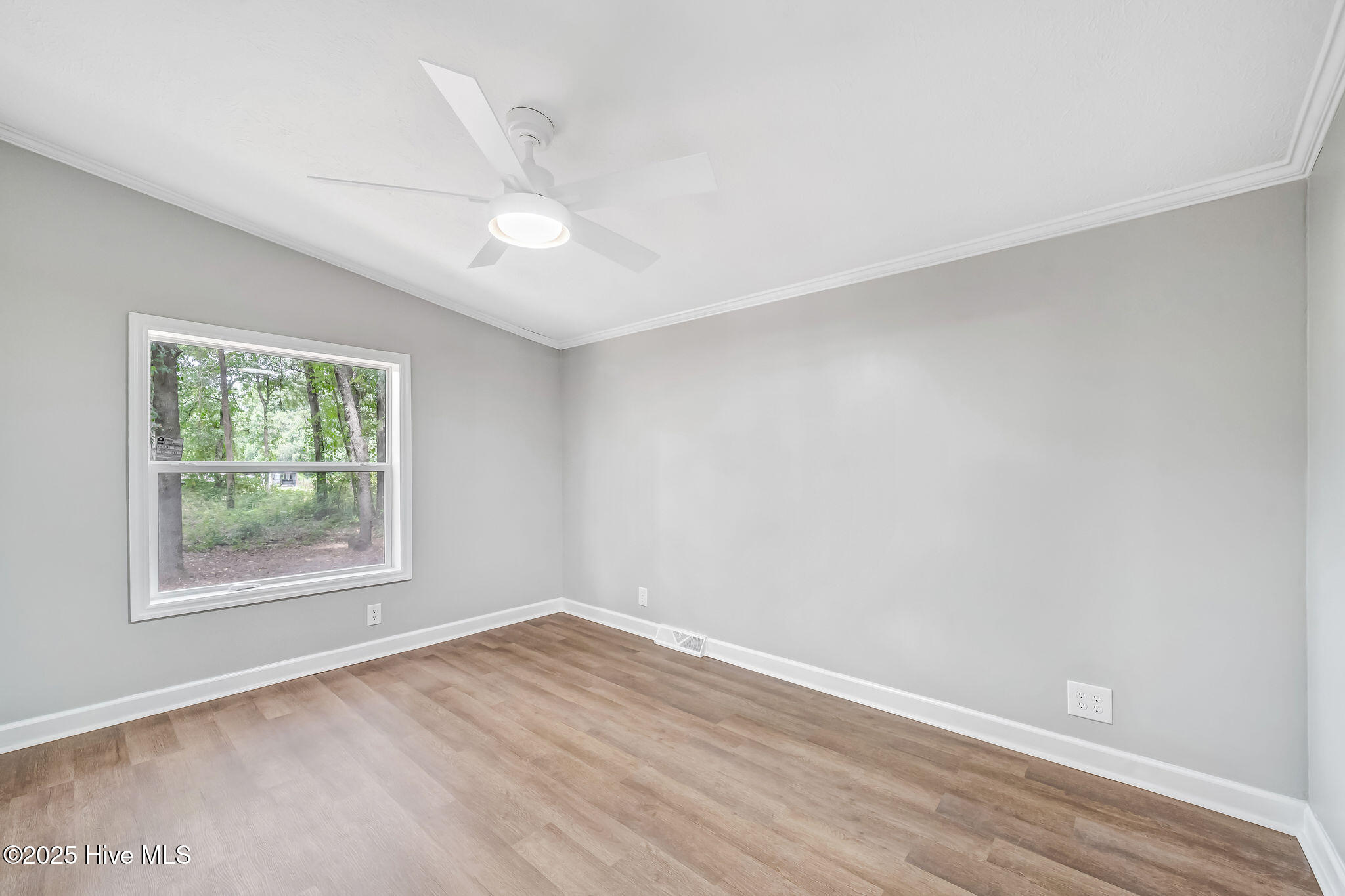 3035 East Darden Road Faison, NC 28341 - Photo 18 of 26 3035darden18