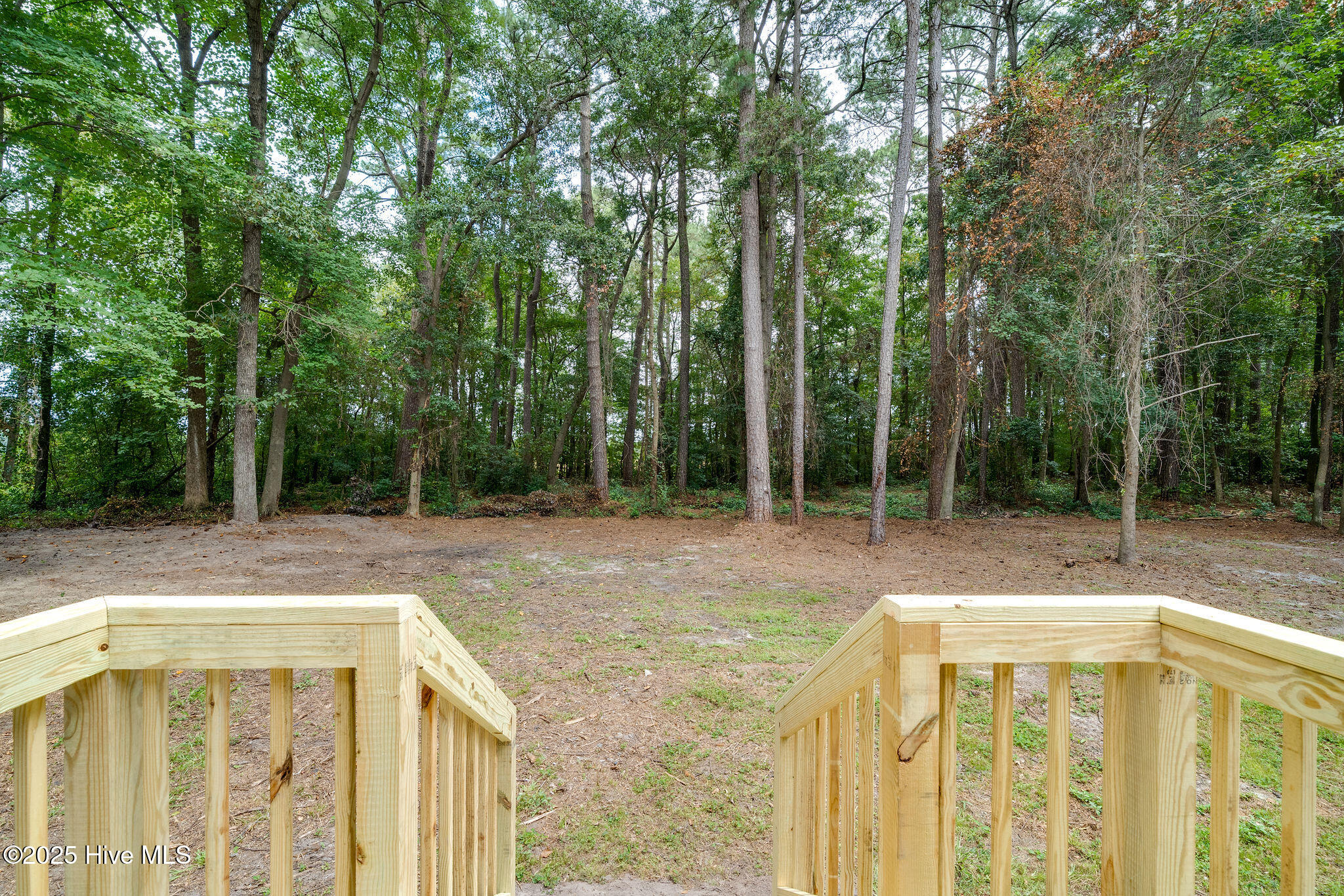 3035 East Darden Road Faison, NC 28341 - Photo 24 of 26 3035darden24