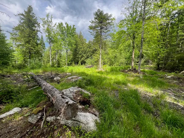$55,000 | Tbd Tbd Marks Mountain Way, Dedham, ME 04429
