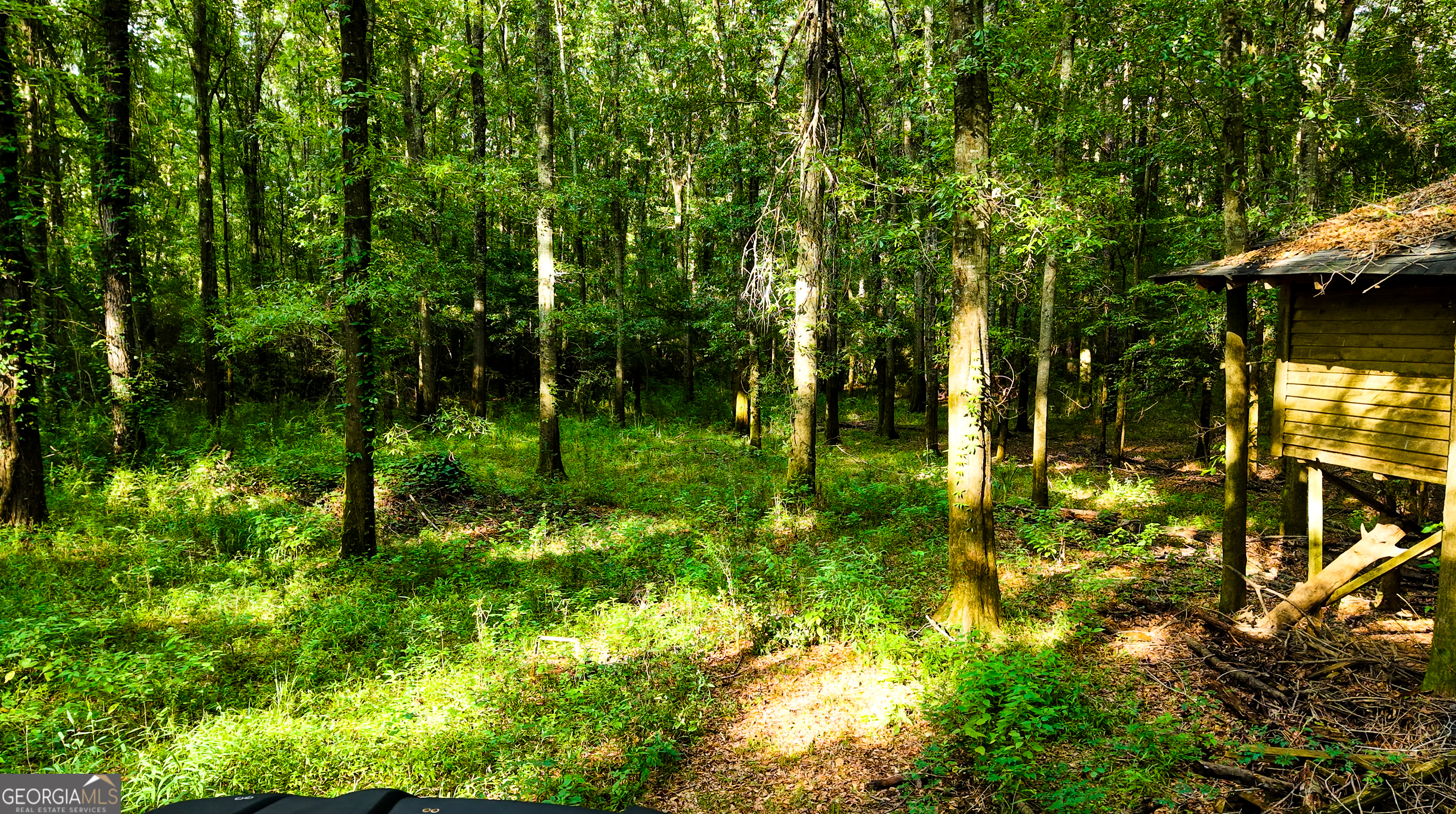 Tbd State Route 26 Road Montezuma, GA 31063 - Photo 21 of 52