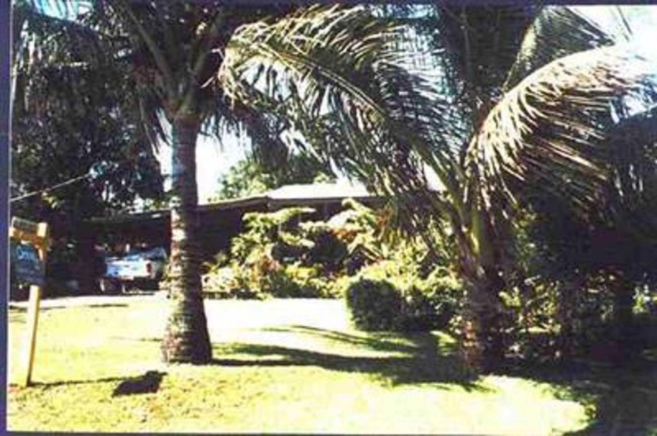 1640 Haiku Road Haiku, HI 96708 - Photo 1 of 1 a view of yard