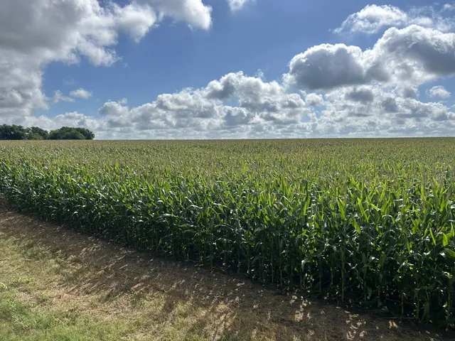 a sign that is on a wooden wall