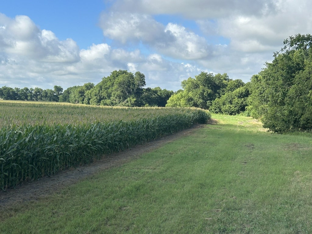 Tbd Apple Cider Road Temple, TX 76501 - Photo 18 of 18 a view of outdoor space and yard