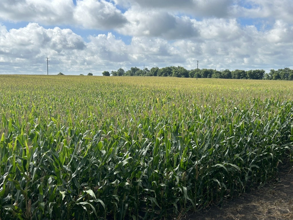 Tbd Apple Cider Road Temple, TX 76501 - Photo 2 of 18 a view of an outdoor space and a lake view