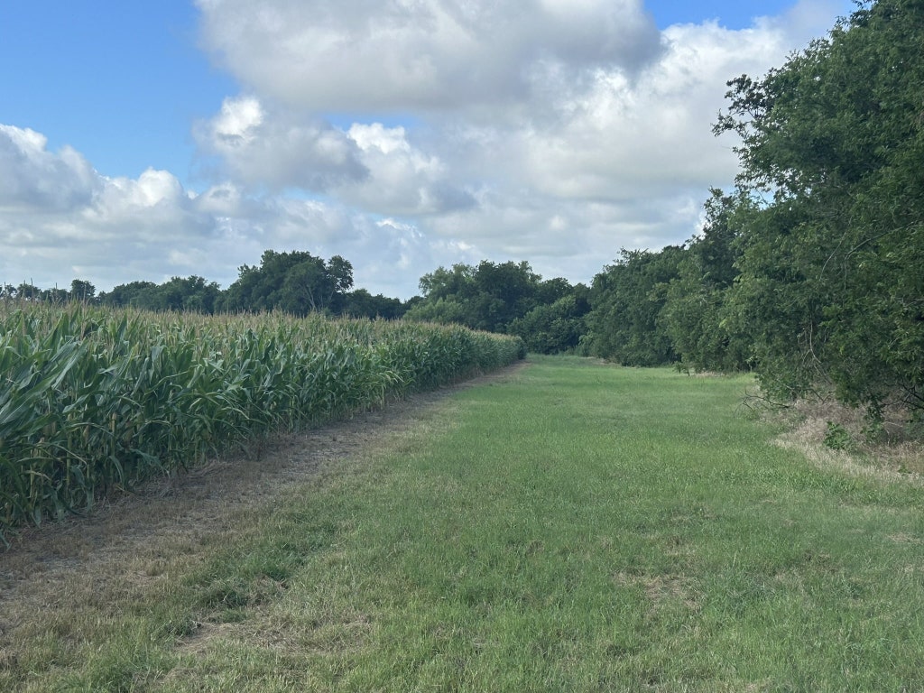 Tbd Apple Cider Road Temple, TX 76501 - Photo 4 of 18 a view of a field of grass and trees