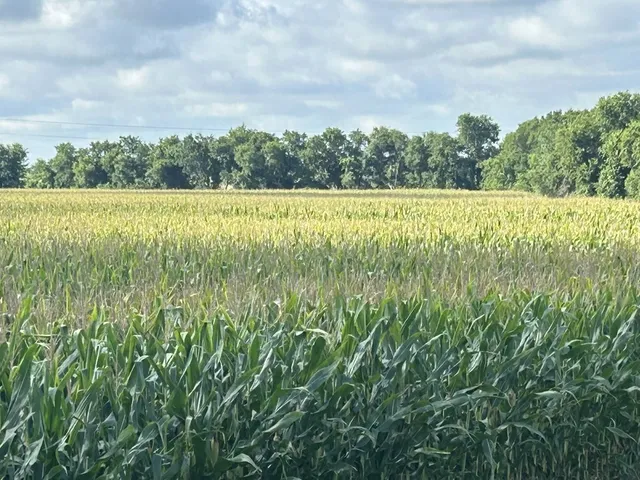 a view of a lake in a city