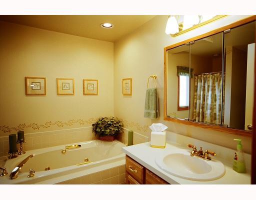 613 Hemlock Road Coraopolis, PA 15108 - Photo 8 of 15 Master Bath/Spa.