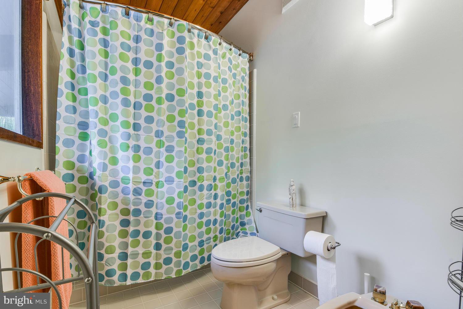 2004 Rebecca Court Silver Spring, MD 20906 - Photo 11 of 30 a white toilet sitting next to a shower curtain