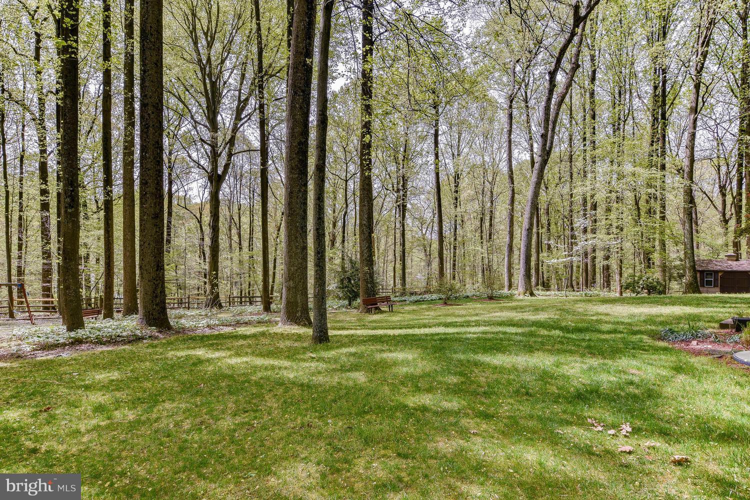 2004 Rebecca Court Silver Spring, MD 20906 - Photo 27 of 30 a backyard of apartments with large trees