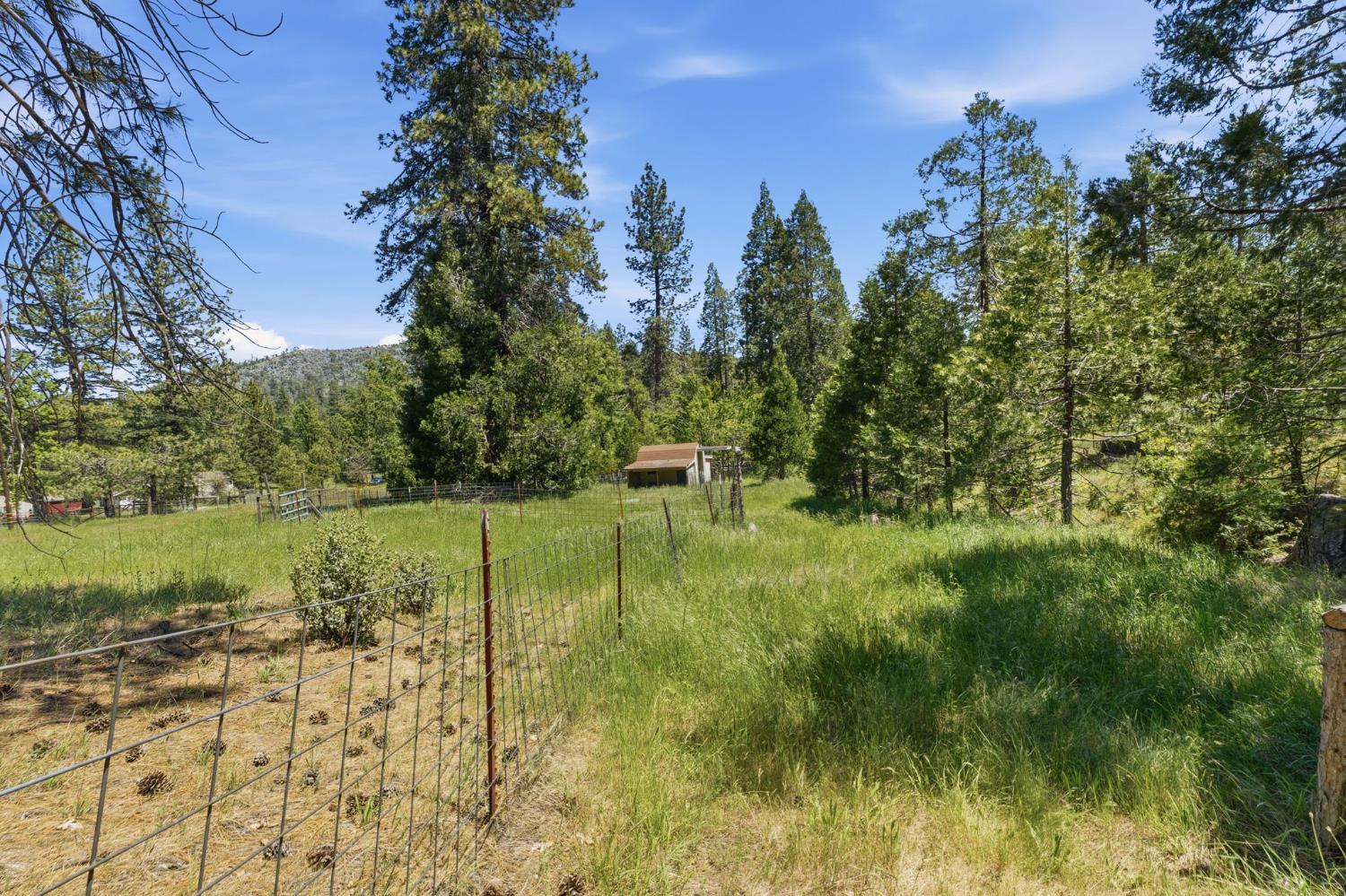 7019 Scott Road Mariposa, CA 95338 - Photo 57 of 77