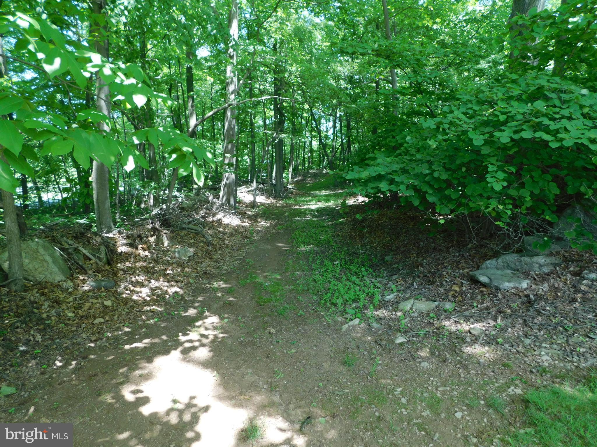 216 Anthonys Mill Road Bechtelsville, PA 19505 - Photo 21 of 51 Gallery Image 21