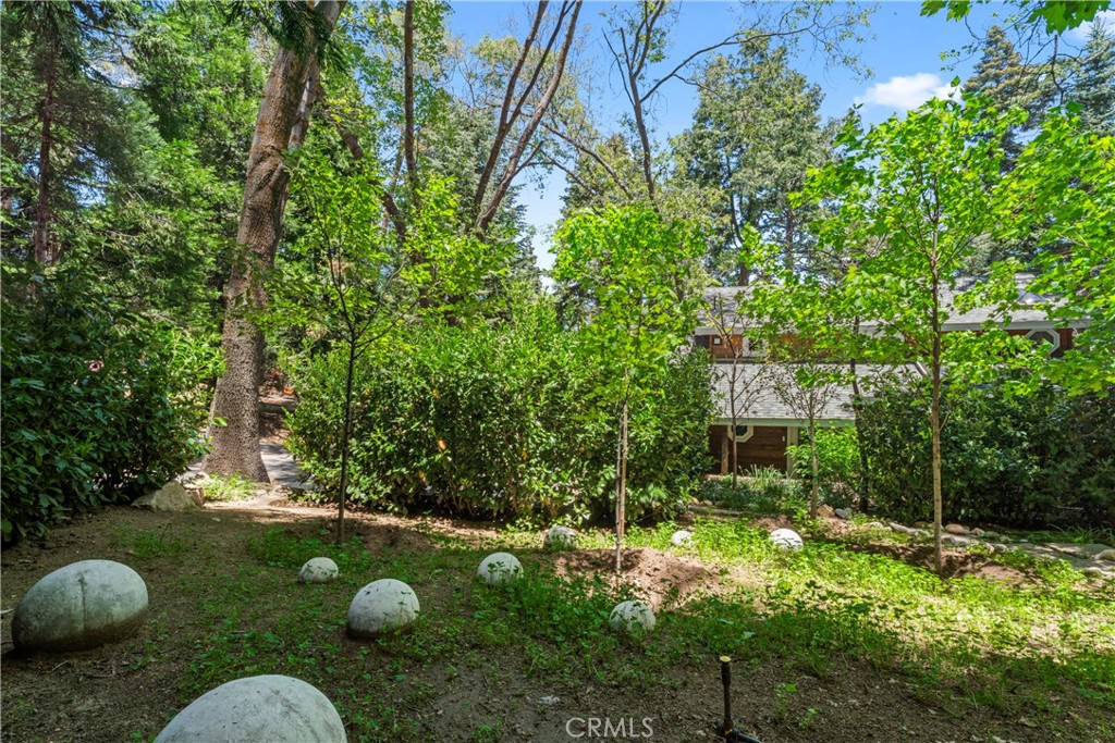 609 Millburn Road Lake Arrowhead, CA 92352 - Photo 53 of 60 a backyard of a house with lots of green space
