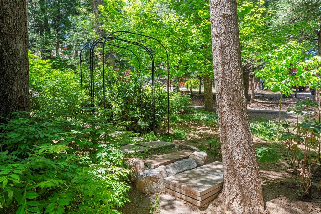 609 Millburn Road Lake Arrowhead, CA 92352 - Photo 55 of 60 a backyard of a house with lots of green space