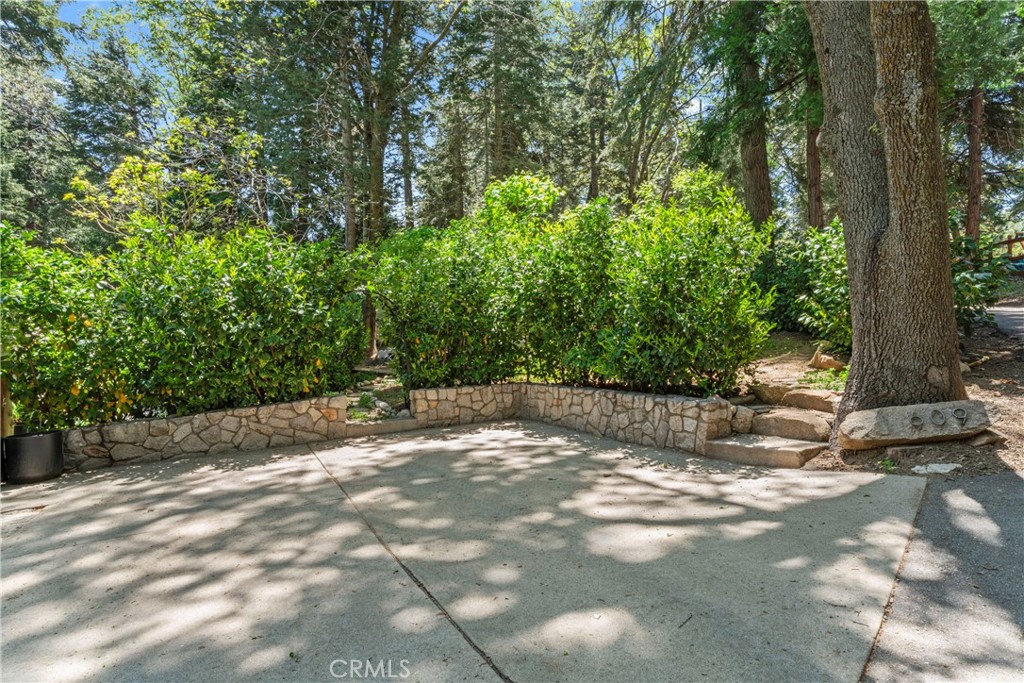 609 Millburn Road Lake Arrowhead, CA 92352 - Photo 58 of 60 a view of a tree with a yard