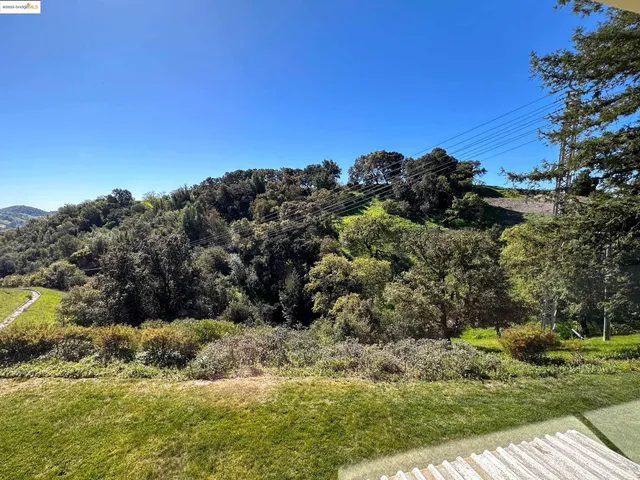 a view of a bunch of trees and bushes