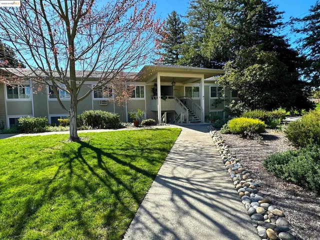 a view of a house with a yard patio and tree s