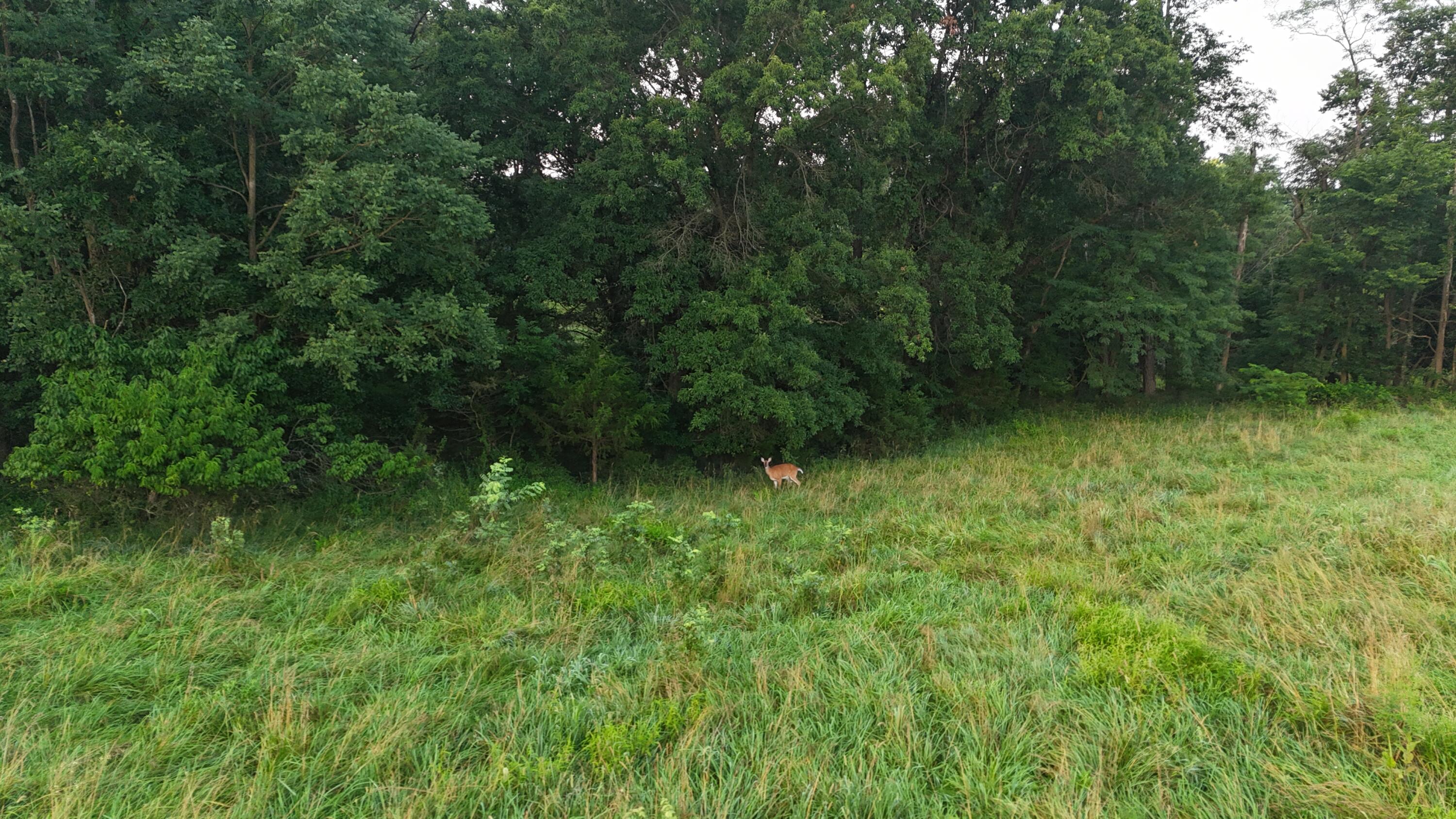 438 County Road Rocheport, MO 65279 - Photo 17 of 26