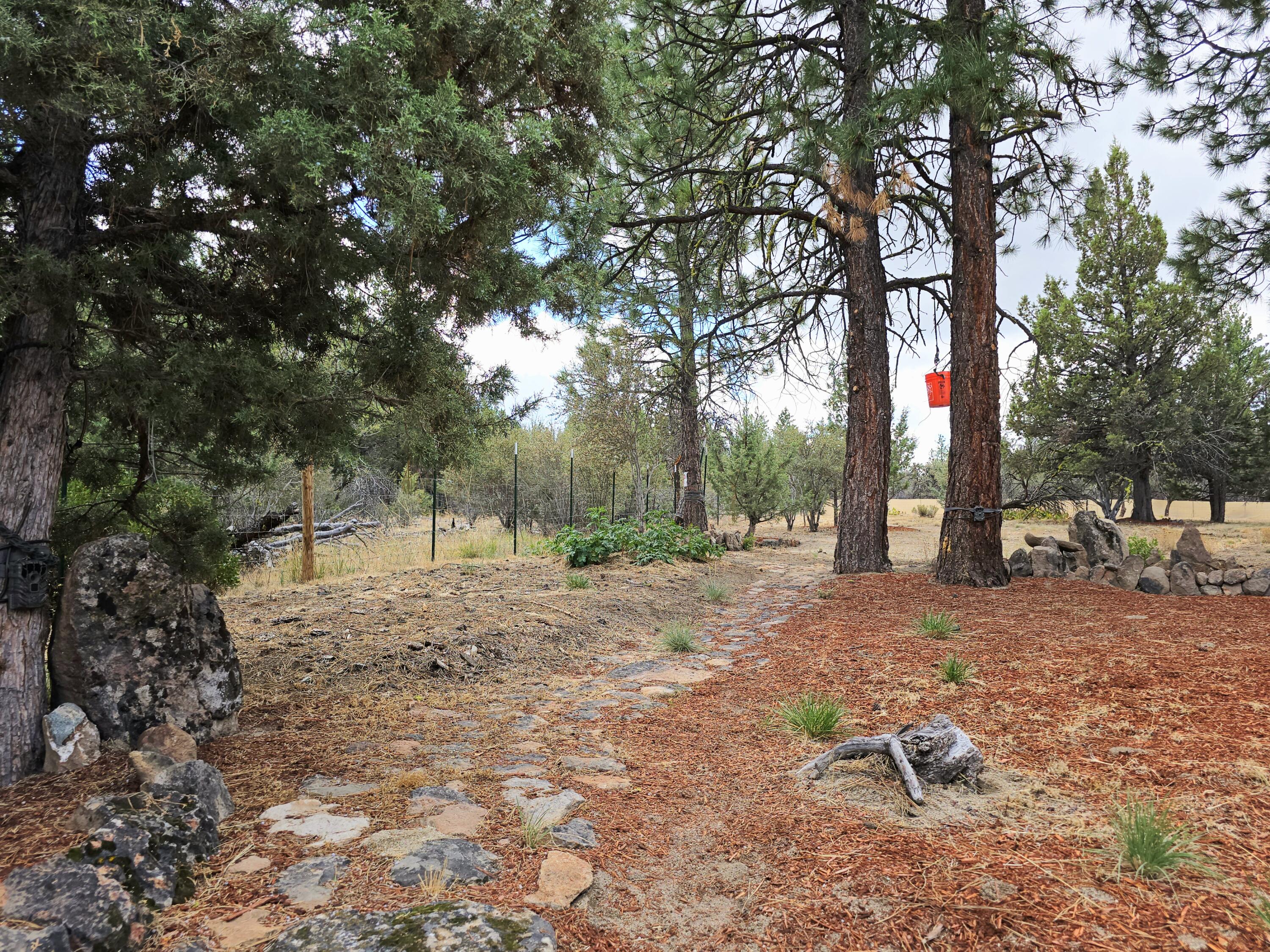 48070 Partin Drive Beatty, OR 97621 - Photo 9 of 29 Walking path