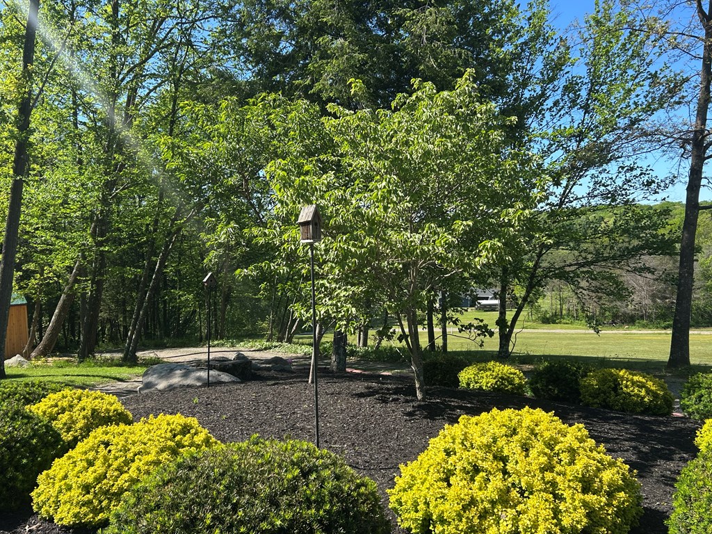 188 Day City Road Corsica, PA 15829 - Photo 37 of 42