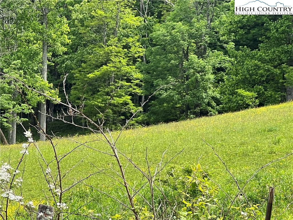 1267 Burkett Road Boone, NC 28607 - Photo 11 of 49 Gallery Image 11