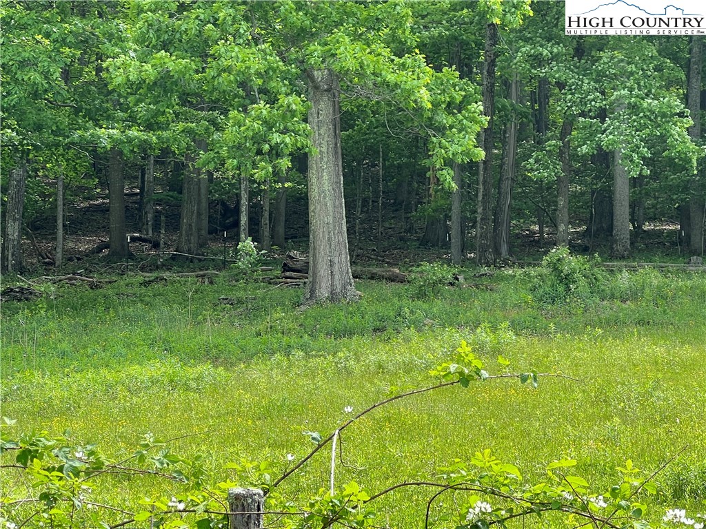 1267 Burkett Road Boone, NC 28607 - Photo 12 of 49 Gallery Image 12